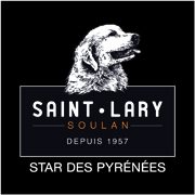 Saint Lary logo